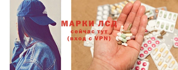 гидра Гусь-Хрустальный