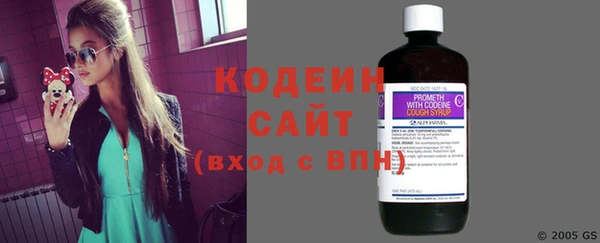 ПСИЛОЦИБИНОВЫЕ ГРИБЫ Гусев