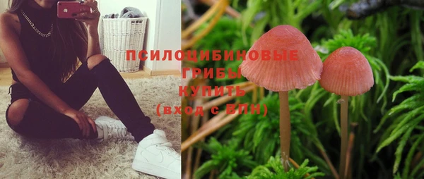ПСИЛОЦИБИНОВЫЕ ГРИБЫ Гусев