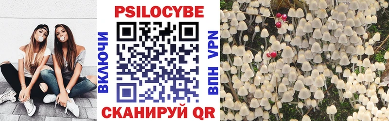 Псилоцибиновые грибы Psilocybine cubensis  Купить  Нарткала 